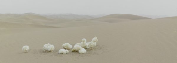 TaklaMakan
