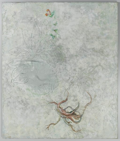 Salbei