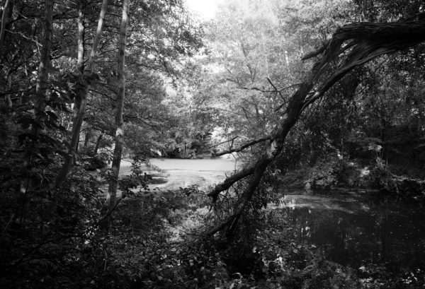 Oberer Mühlenteich, Klein-Wesenberg