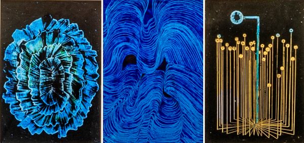 Herbarium